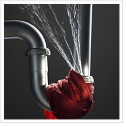 Plumbing Water Leak