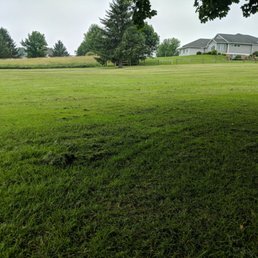 Shit golf course... Just look at this mowing job of the greens Shit golf course... Just look at this mowing job of the greens