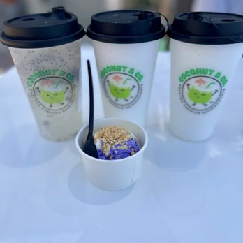 Coconut & Co - Coconut Shakes & Coconut Water with Basil Seeds. ( ^_^)b - Bubble Tea Near Me - Alhambra, California Coconut & Co - Coconut Shakes & Coconut Water with Basil Seeds. ( ^_^)b - Bubble Tea Near Me - Alhambra, California