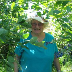 Quail Crest Memory Care
