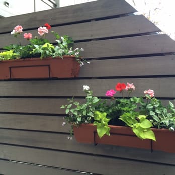 Botanica Garden Center - He helped me design this beautiful arrangement - Nurseries & Gardening Near Me - Brooklyn, New York Botanica Garden Center - He helped me design this beautiful arrangement - Nurseries & Gardening Near Me - Brooklyn, New York