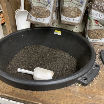 Rural King - a bowl of seeds and a scoop - Home & Garden Near Me - Clarksville, Tennessee Rural King - a bowl of seeds and a scoop - Home & Garden Near Me - Clarksville, Tennessee