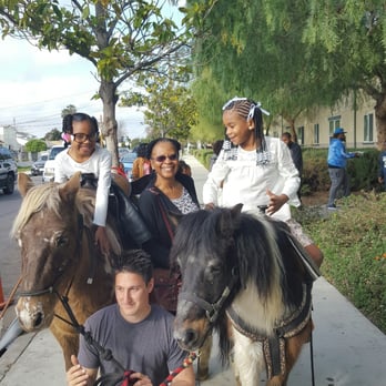 So Cal Animals - So Cal Animals are the best in the west! - Horseback Riding Near Me - Agua Dulce, California