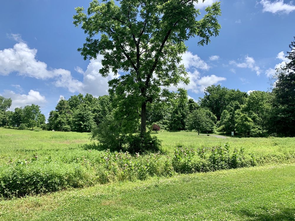 PLAYWICKI FARM Updated June 2024 87 Photos & 14 Reviews 2350