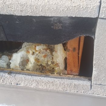 HTS Bees - Bee's behind stucco in a garage wall. - Pest Control Near Me - Tucson, Arizona
