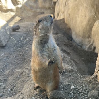 Wildlife Learning Center - Zoos Near Me - Sylmar, California