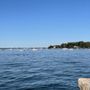 Photo of The Oyster Bay Oyster Festival