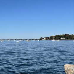 The Oyster Bay Oyster Festival