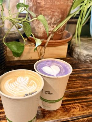 Urban Backyard by null