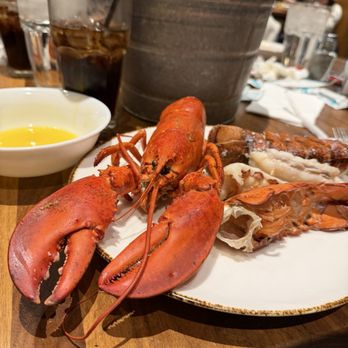 AYCE - Lobster - Buffets Near Me - Las Vegas, Nevada