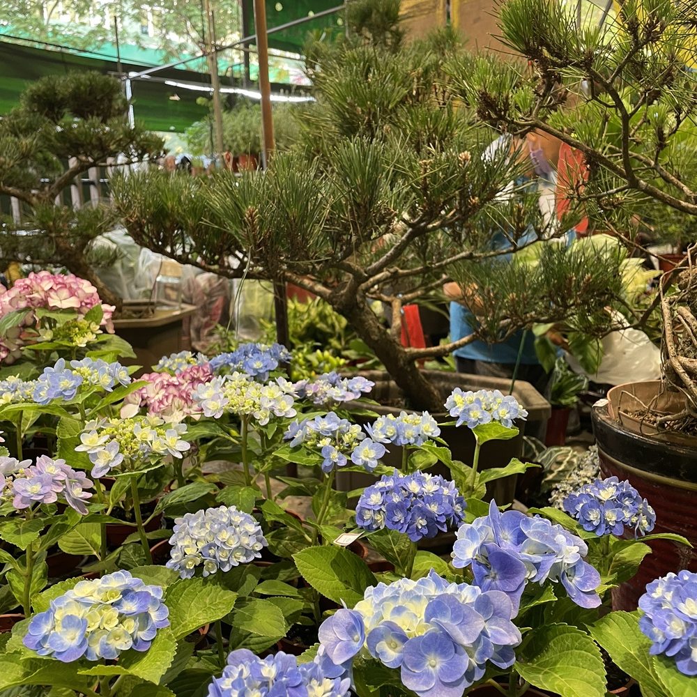 The Best 10 Nurseries & Gardening near 正大種子行in 士林區, 台北市- Yelp