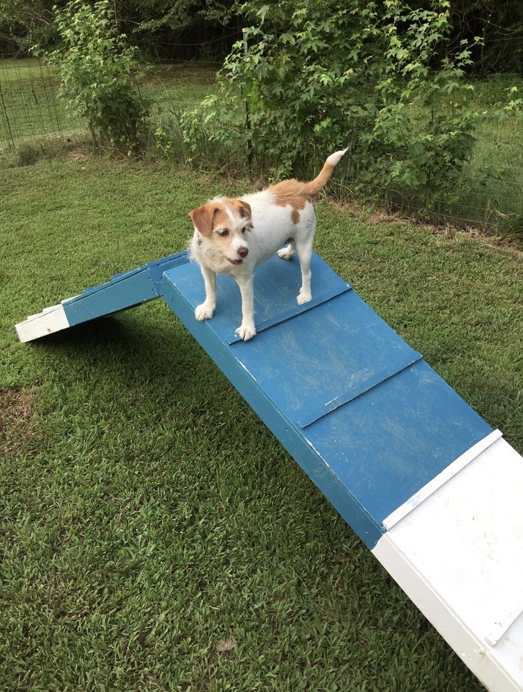 JohnnyKellyVille Beach Bar & Grill Logo