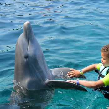 Chankanaab - Water Parks Near Me - Cozumel, ROO