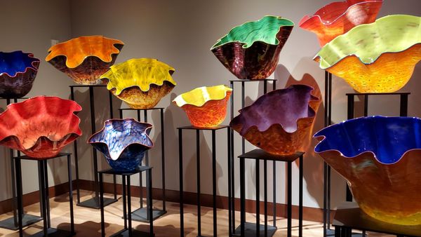 Oklahoma City Museum of Art by null