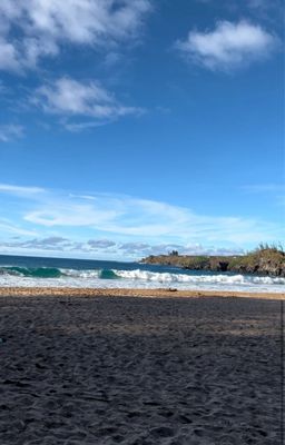 Slaughterhouse Beach by null