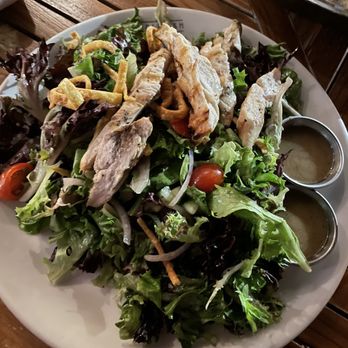 Paddlefish - Green Salad - Full - with chicken - Seafood Near Me - Orlando, Florida Paddlefish - Green Salad - Full - with chicken - Seafood Near Me - Orlando, Florida