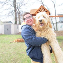 Stellar Whiskers Pet Care, LLC - used to be able to pick up Jack with one arm, he's no longer a baby! they grow up big and fluffy so fast