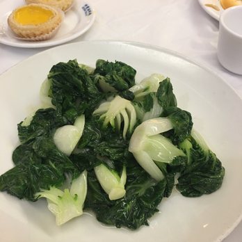 Ocean Palace - Baby Bockchoy - Dim Sum Near Me - Houston, Texas Ocean Palace - Baby Bockchoy - Dim Sum Near Me - Houston, Texas