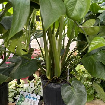 Groovy Plants Ranch - Nurseries & Gardening Near Me - Marengo, Ohio