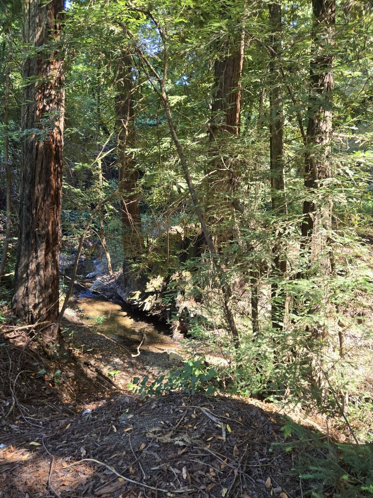 US POST OFFICE Updated October 2024 11 Photos & 17 Reviews 99