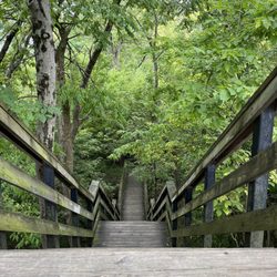 Hayden Falls Park