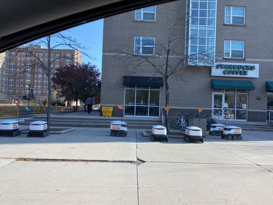 Wayne State University by null