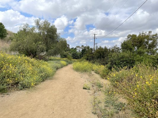 Ascot Hills Park by null