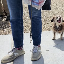 Waggin Tails Dog Park - Happy little fella!