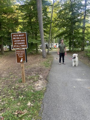 Interlochen State Park by null
