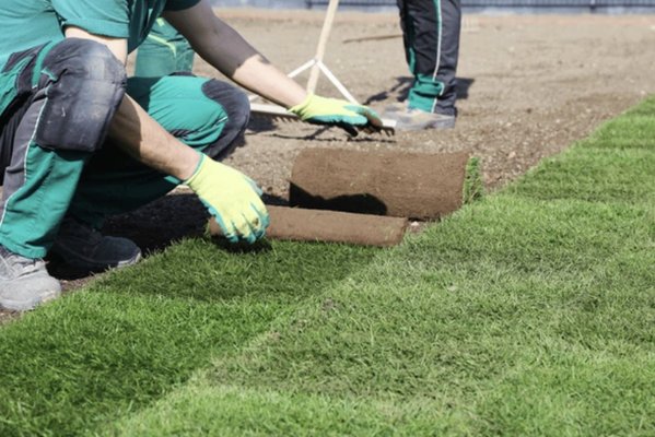Sod or Turf, We’ve Got Your Ground Covered - Lush Lawns, Effortless Beauty
Whether you want the lush, natural look of freshly laid sod or the low-maintenance convenience of high-quality artificial turf, we deliver beautiful, durable lawns that transform your outdoor space. With expert installation and attention to detail, we ensure your yard looks great year-round—no watering, mowing, or fuss required.
Our team has 9 years of experience creating flawless turf that holds up through all seasons, enhances curb appeal, and adds value to your home. From preparation to finishing touches, we handle every step with care and professionalism.
Choose a lawn that fits your lifestyle and enjoy more time outside without the upkeep.
Ready for a flawless lawn without the hassle? Whether sod or artificial turf, we’re here to deliver quality and durability that lasts.
Contact us today for a free estimate and take the first step toward your perfect yard! Sod or Turf, We’ve Got Your Ground Covered - Lush Lawns, Effortless Beauty
Whether you want the lush, natural look of freshly laid sod or the low-maintenance convenience of high-quality artificial turf, we deliver beautiful, durable lawns that transform your outdoor space. With expert installation and attention to detail, we ensure your yard looks great year-round—no watering, mowing, or fuss required.
Our team has 9 years of experience creating flawless turf that holds up through all seasons, enhances curb appeal, and adds value to your home. From preparation to finishing touches, we handle every step with care and professionalism.
Choose a lawn that fits your lifestyle and enjoy more time outside without the upkeep.
Ready for a flawless lawn without the hassle? Whether sod or artificial turf, we’re here to deliver quality and durability that lasts.
Contact us today for a free estimate and take the first step toward your perfect yard!