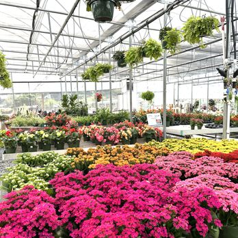 Weidners' Gardens - Nurseries & Gardening Near Me - Encinitas, California Weidners' Gardens - Nurseries & Gardening Near Me - Encinitas, California