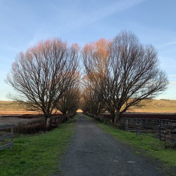 Tolay Lake Regional Park - Parks Near Me - Petaluma, California