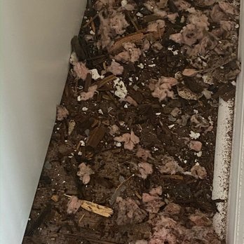 Lighthouse Realty - Realtor covered up mold. She took property off MLS, removed moldy furniture, painted and relisted for sale. This is illegal in Florida. - Real Estate Near Me - Saint Augustine, Florida Lighthouse Realty - Realtor covered up mold. She took property off MLS, removed moldy furniture, painted and relisted for sale. This is illegal in Florida. - Real Estate Near Me - Saint Augustine, Florida