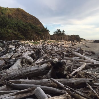 Cape Disappointment State Park - Come get your lawn ornaments!! - Parks Near Me - Ilwaco, Washington Cape Disappointment State Park - Come get your lawn ornaments!! - Parks Near Me - Ilwaco, Washington