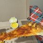 Photo of Domino's Pizza