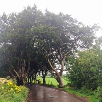 The Dark Hedges - Entrance to dark woods - Landmarks & Historical Buildings Near Me - Antrim, BLY The Dark Hedges - Entrance to dark woods - Landmarks & Historical Buildings Near Me - Antrim, BLY