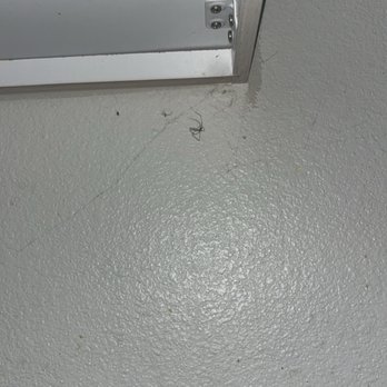 Tripalink - More bugs - Property Management Near Me - Los Angeles, California Tripalink - More bugs - Property Management Near Me - Los Angeles, California