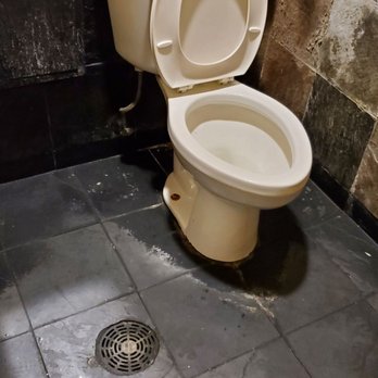 Bo Asian Bistro - Leaking toilet. - Chinese Near Me - Round Rock, Texas Bo Asian Bistro - Leaking toilet. - Chinese Near Me - Round Rock, Texas