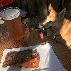 Zur Reuse - Der Butterfisch ist der Hammer