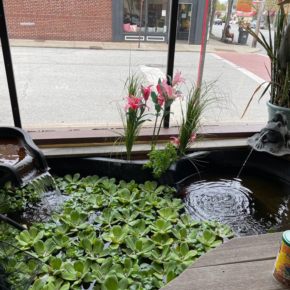 Goldfish pond Goldfish pond