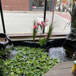 Goldfish pond