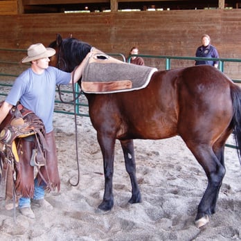 Eric Neilsen Equine Services - Horseback Riding Near Me - Snoqualmie, Washington Eric Neilsen Equine Services - Horseback Riding Near Me - Snoqualmie, Washington