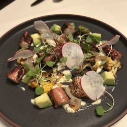 Octopus