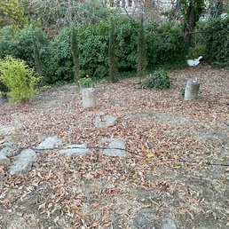 Concrete piers that June and team removed from sloped backyard while causing no damage. Concrete piers that June and team removed from sloped backyard while causing no damage.