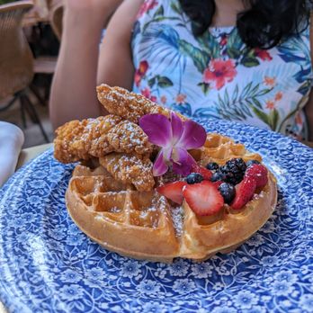 Little Hen - Chicken (tenders) and a waffle. Perfect waffle and chicken tender was very well done. - Breakfast & Brunch Near Me - Miami, Florida Little Hen - Chicken (tenders) and a waffle. Perfect waffle and chicken tender was very well done. - Breakfast & Brunch Near Me - Miami, Florida