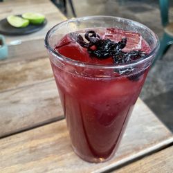 Black Radissh - Hibiscus lemonde