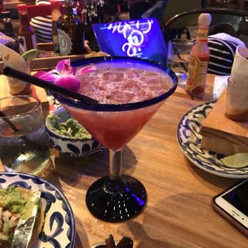 Tacology - Mexican Near Me - Miami, Florida Tacology - Mexican Near Me - Miami, Florida