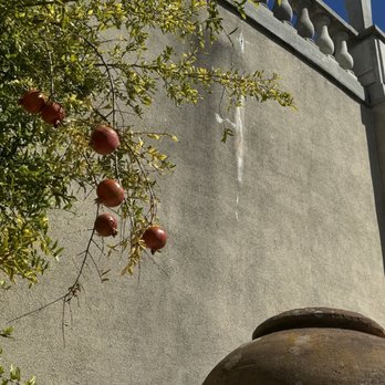 Hearst Castle - Fruit. - Tours Near Me - San Simeon, California