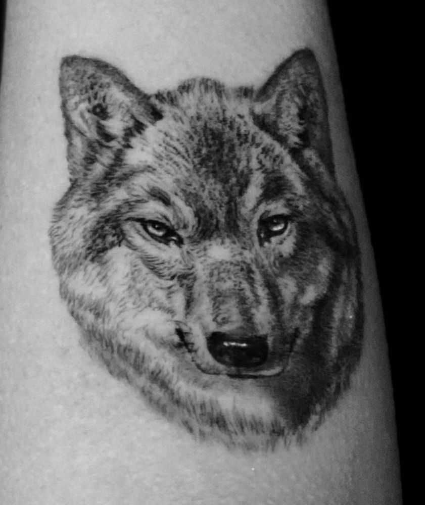 10 Thousand Foxes Tattoo Logo
