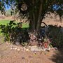 Photo of Imperial Highway Park